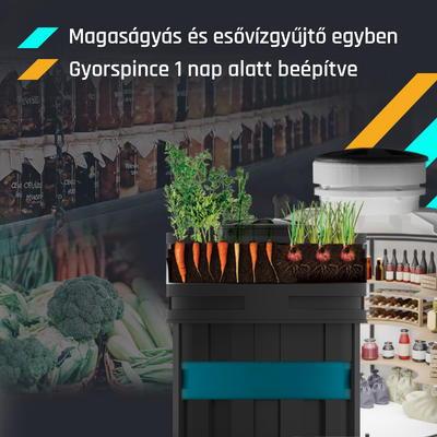 Gyorspince és magaságyás